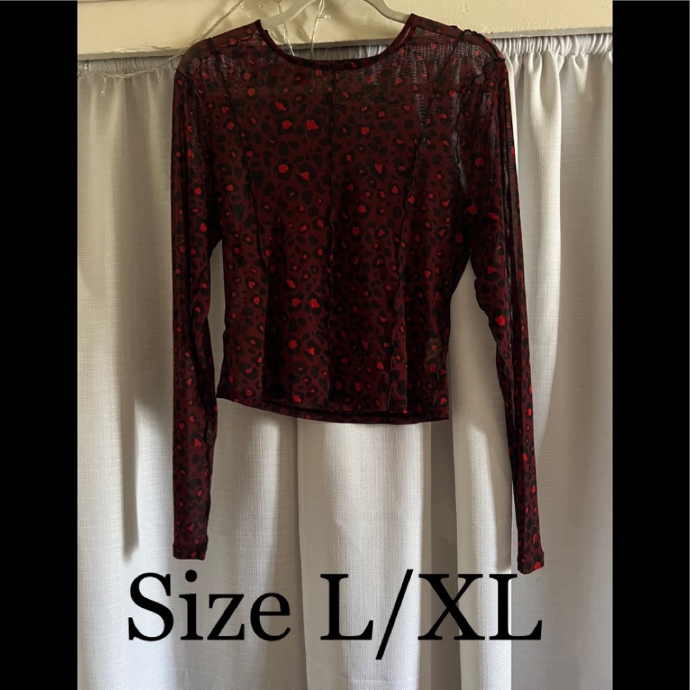 Transparent Long-Sleeve Top